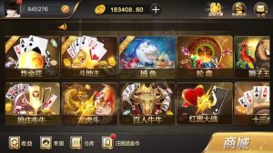 网狐二开海外微星真金游戏源码 带视频搭建教程-犀牛源码网