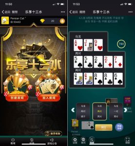 H5乐享十三水搭建教程-犀牛源码网