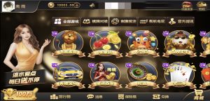 更新星光娱乐完整数据-犀牛源码网