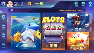 更新斗鱼娱乐电玩城，街机游戏完整服务器打包完整双端-犀牛源码网