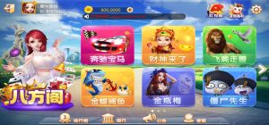 网狐系列八方阁电玩组件-犀牛源码网