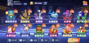 网狐系列星空城电玩组件-犀牛源码网