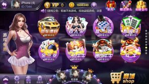 富贵3电玩APP功能修改说明-犀牛源码网