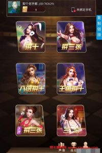 稳定版毛豆卡丁互娱H5源码+搭建教程-犀牛源码网