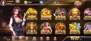 经典街机电玩游戏平台 178系列 星途电玩城（星力电玩）带机器人完美运营版本-犀牛源码网