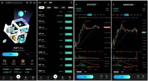 10语言海外交易所源码/合约交易/秒合约/闪兑/k线插针/C2C交易/挖矿锁仓/币币申购+搭建教程-犀牛源码网