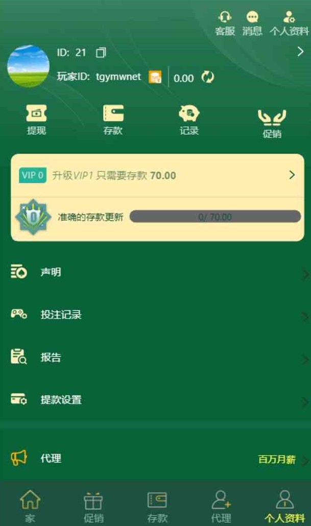 海外多语言pg电子游戏源码 | 带搭建教程·接口